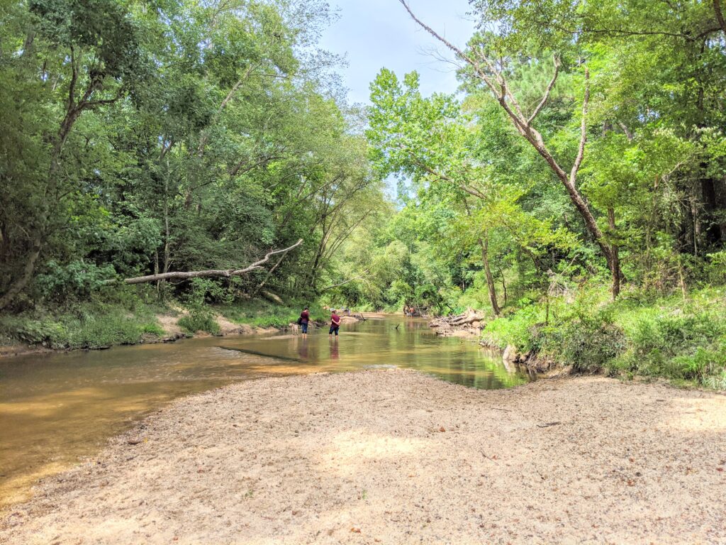 Lake Houston Wilderness Park swimming at Peach Creek Houston Swimming