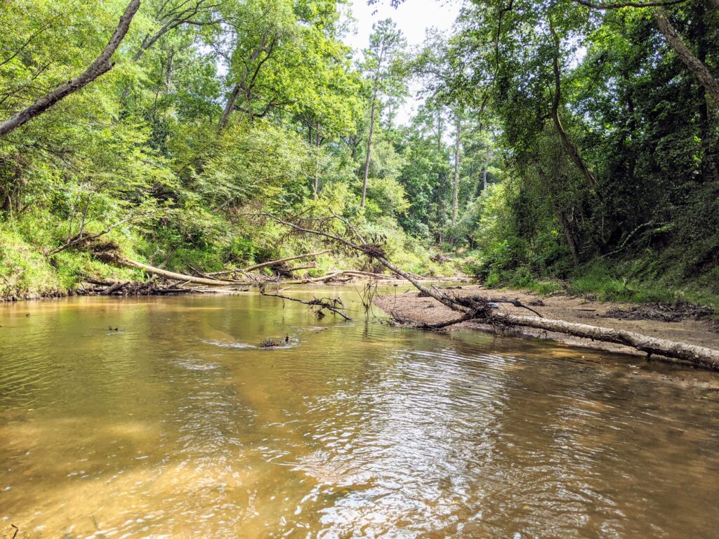 Houston area swimming - Lake Houston Wilderness Park peach creek