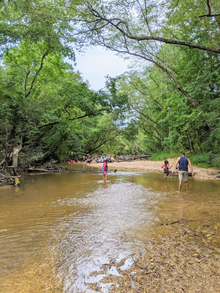 Swimming at Lake Houston Wilderness Park Peach creek