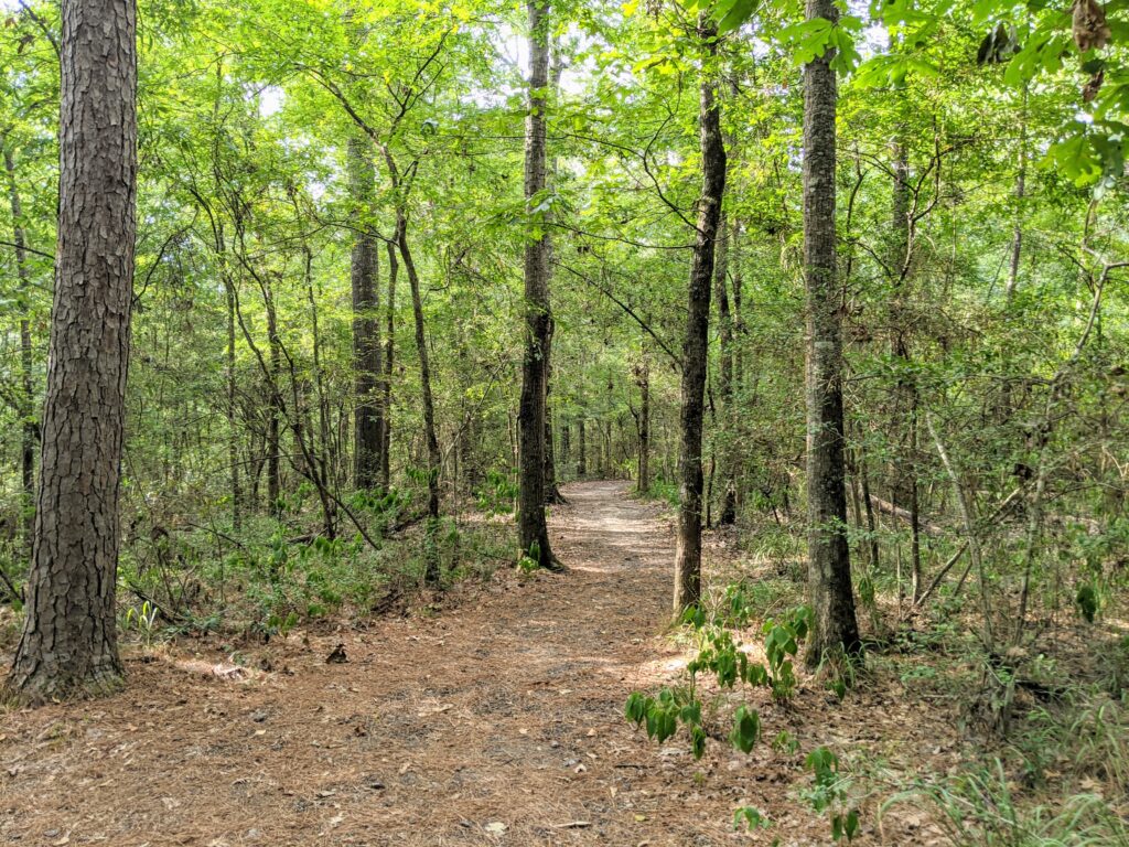 Lake Houston Wilderness Park hiking trails