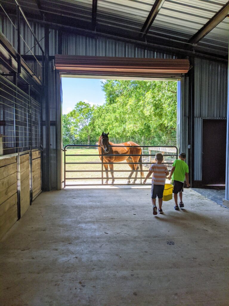 rockin star ranch brenham texas