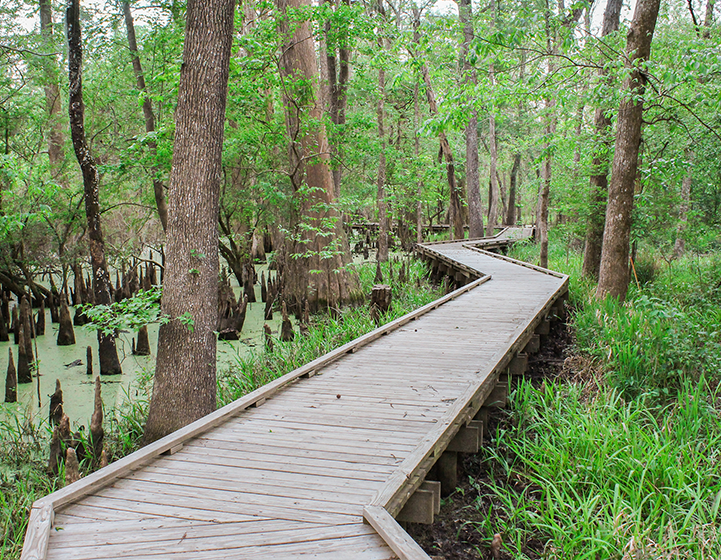 Jesse H Jones Nature & Hiking Trail Houston