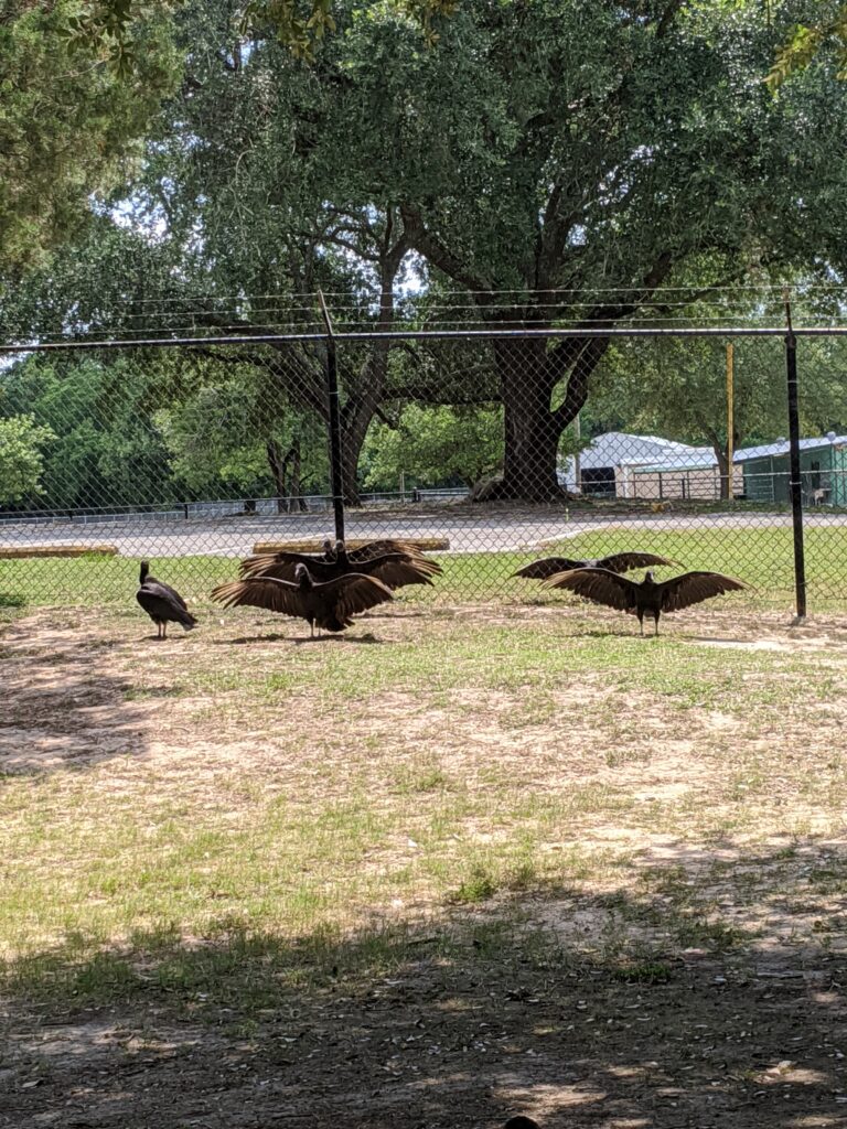 Bear Creek Pioneers Park