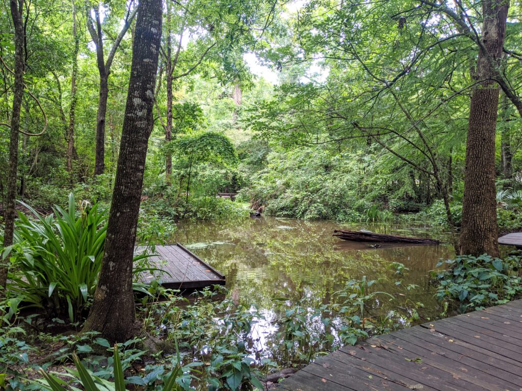 Edith L. Moore Nature Sanctuary