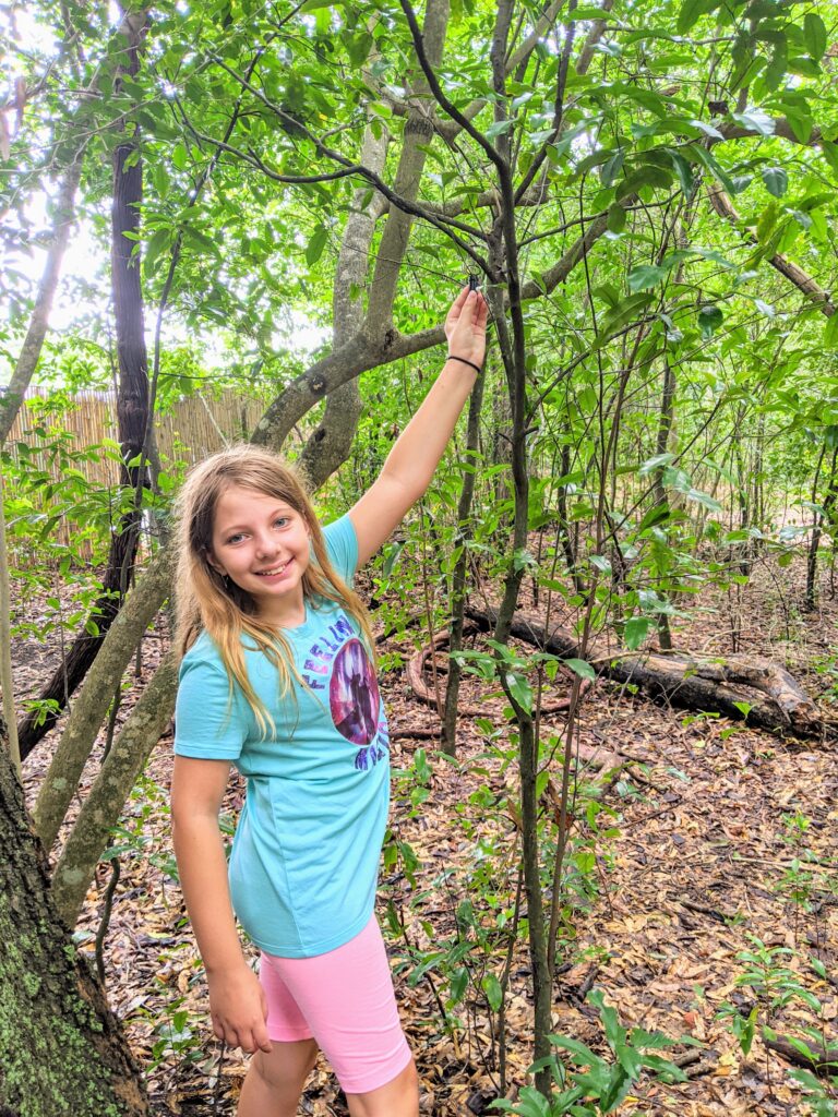 hiking with kids geocaching