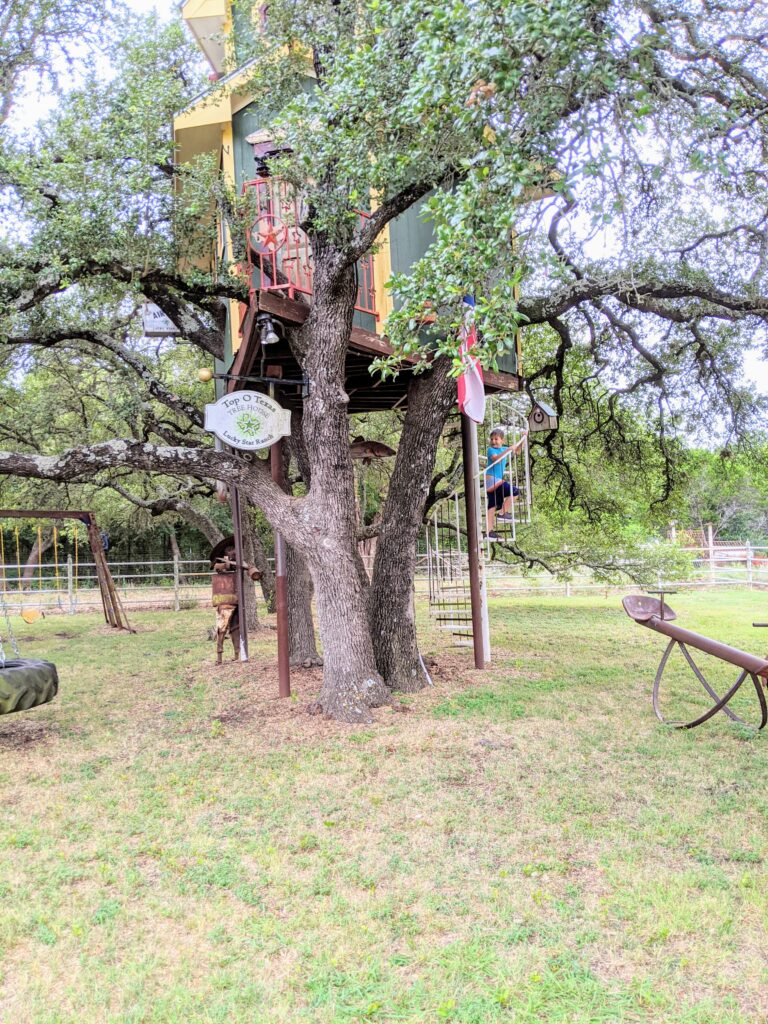 treehouse at texas hill country airbnb