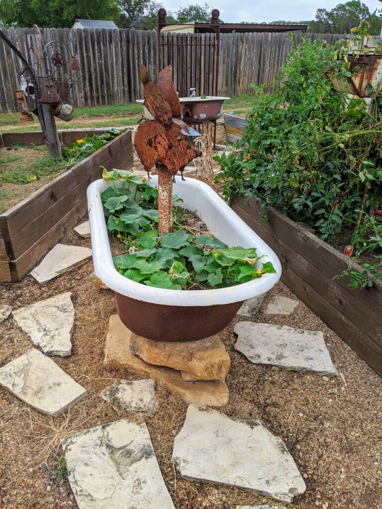 garden at leander austin hill country airbnb