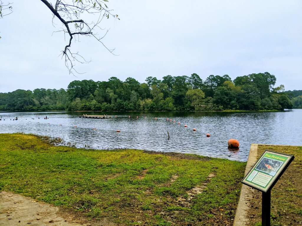 Huntsville State Park Lake Raven Swimming Area