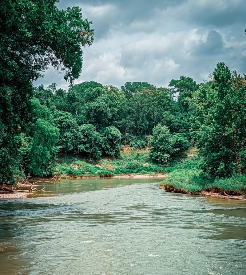 Palmetto State Park Hidden Swim Area - Texas Wanderers