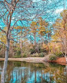 Brookeland KOA Lake Sam Rayburn