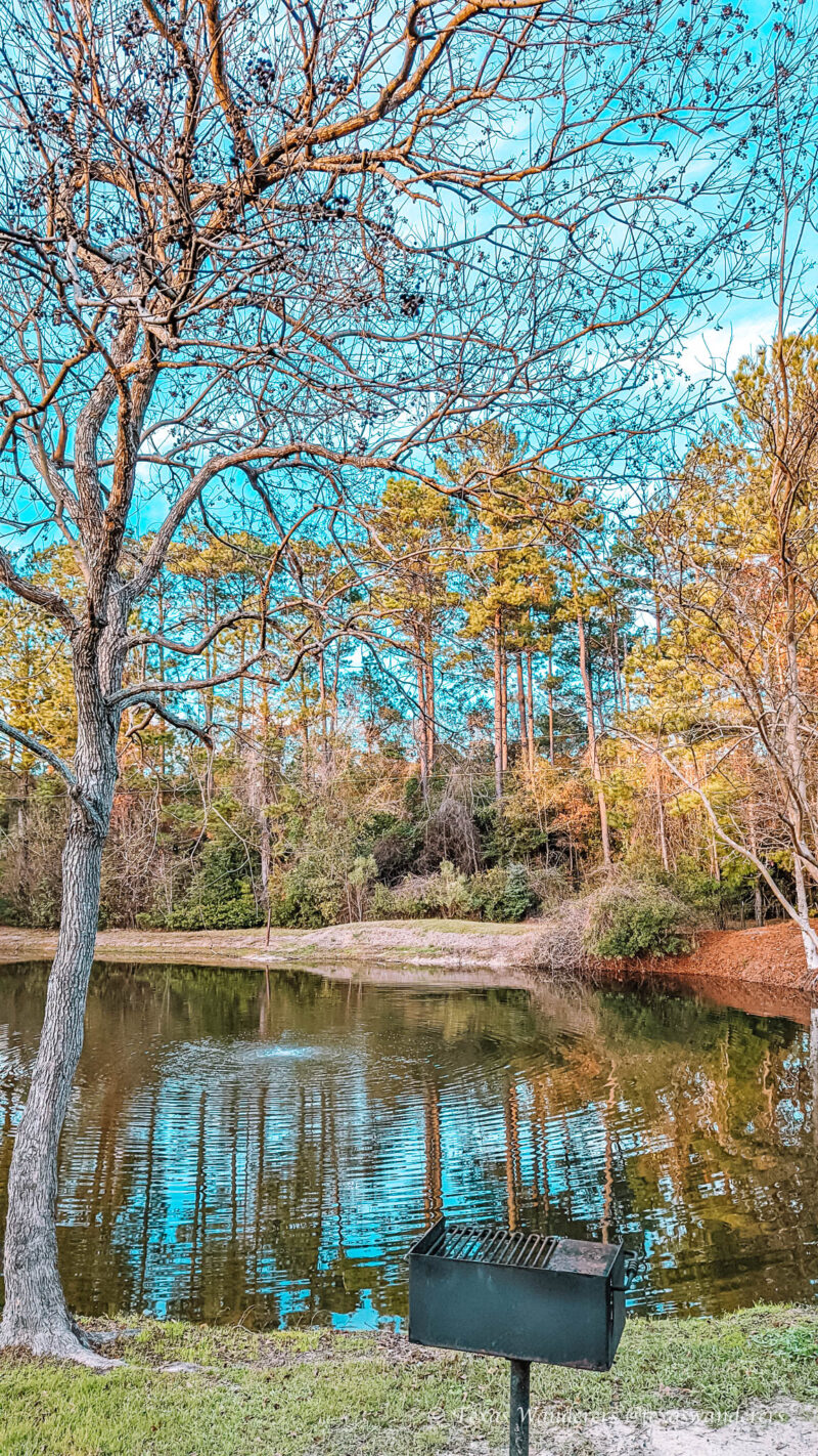 Why You Must Stay At Brookeland KOA Texas Wanderers