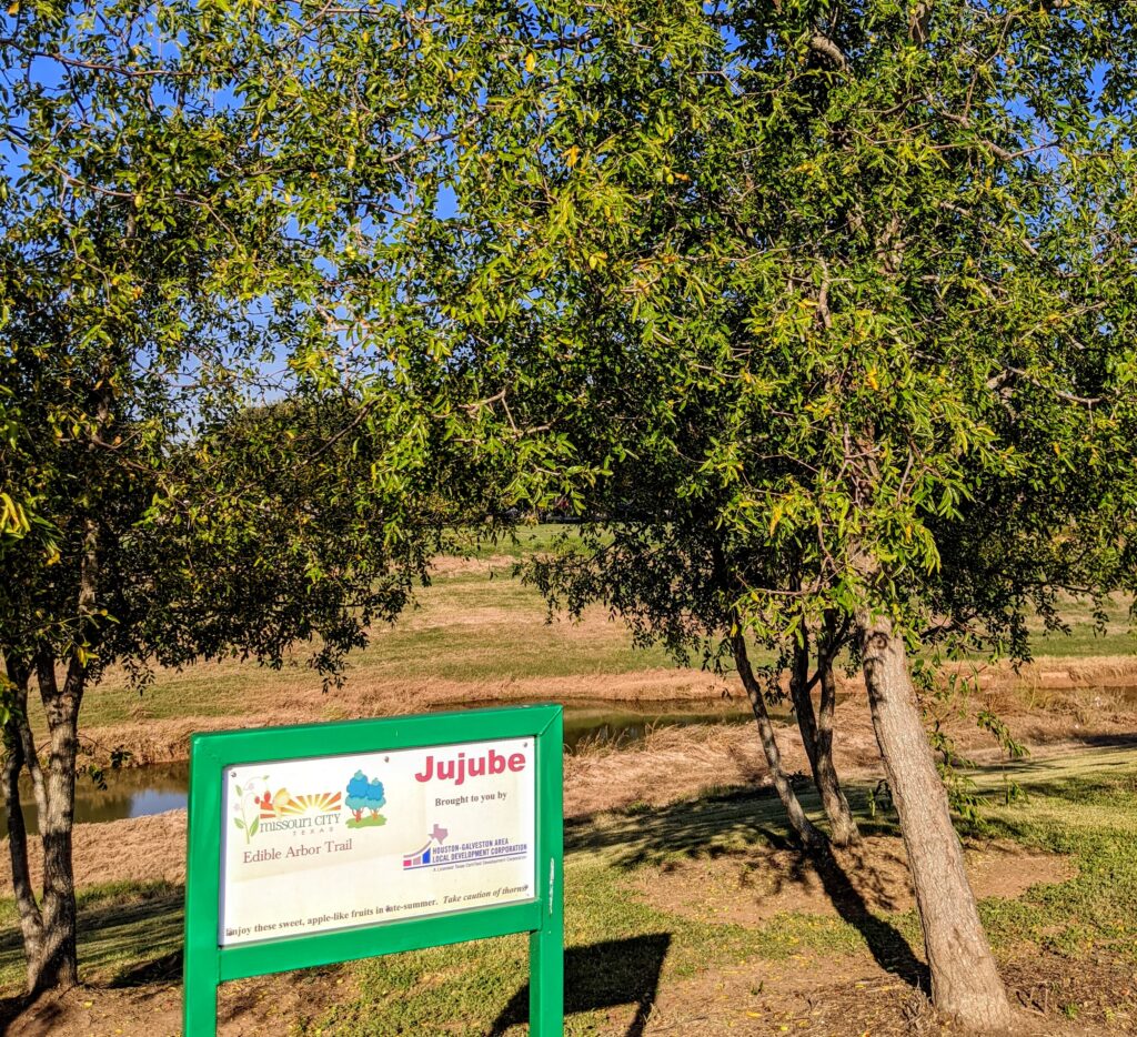 Edible Arbor Trail Missouri City