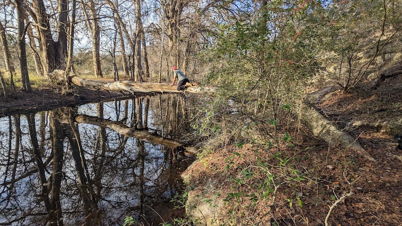 Cibolo Creek Nature Center - Things to do in Boerne, TX