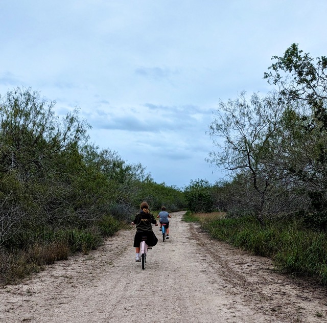 Resaca de la Palma State Park - Things to do in Brownsville, TX