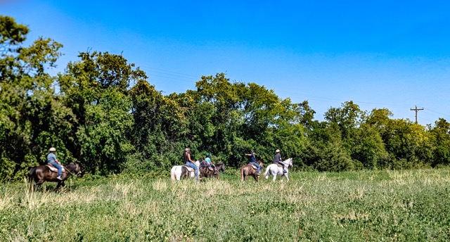 Horseback Riding at Southfork Ranch - Fun things to do in Plano