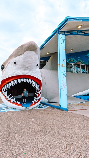 Giant Shark - Texas Roadside Photo Opps