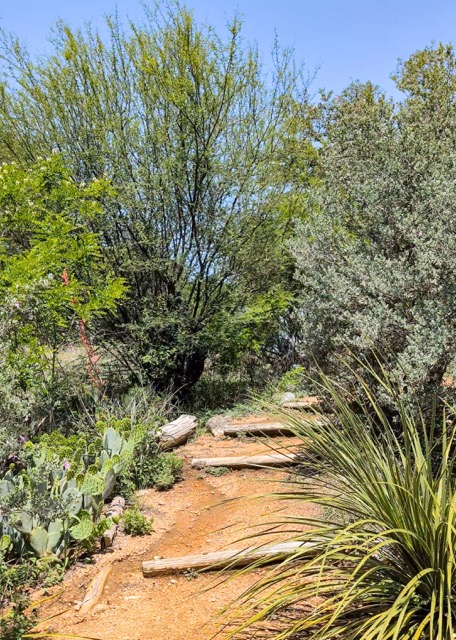 River Park Nature Trail - Top Things to do in Kerrville, TX