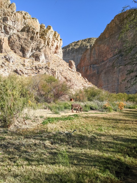Big Bend National Park