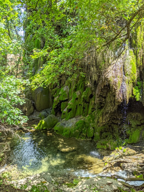 PXL 20210623 193035928.MP Medium