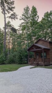 PXL 20250408 003635407.RAW 01.MP .COVER Medium