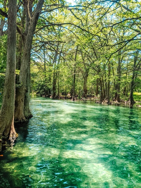 21 Best Texas Swimming Holes (2026 Guide) 1 Blue Hole Regional Park - Wimberley