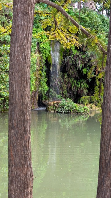 21 Best Texas Swimming Holes (2026 Guide) 3 Krause Springs - Texas Hill Country Swimming Hole