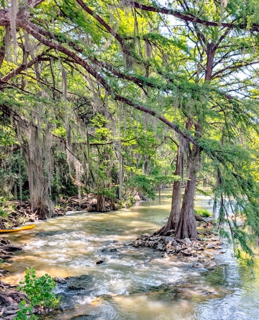 21 Best Texas Swimming Holes (2026 Guide) 12 Guadalupe River